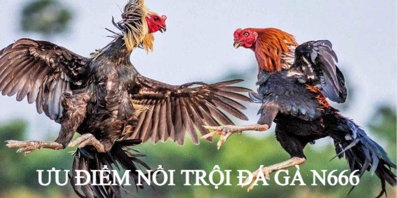 Đa dạng hình thức cược cho bạn lựa chọn