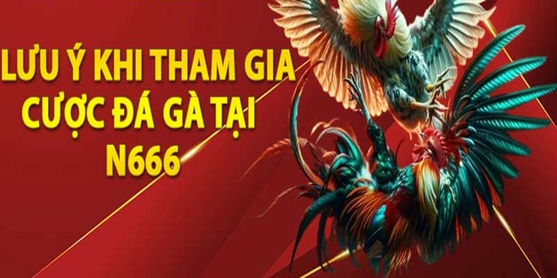 Lưu ý cần nắm khi theo dõi và cược đá gà N666