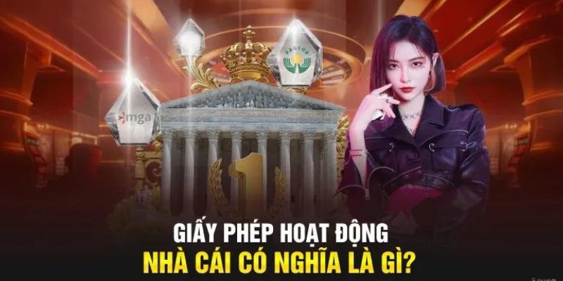 GIẤY PHÉP HOẠT ĐỘNG 1 Giới thiệu sơ lược về giấy phép hoạt động N666