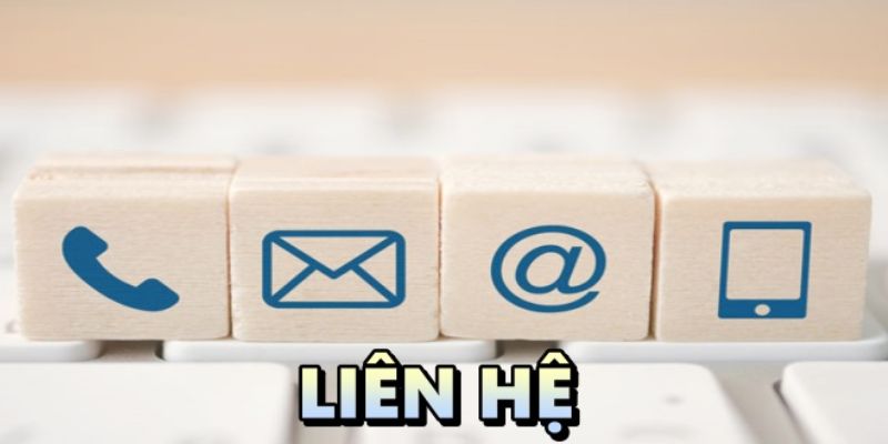 LIÊN HỆ 2 Lý do mà bạn nên liên hệ n666 khi gặp vấn đề