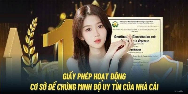 GIẤY PHÉP HOẠT ĐỘNG 2 Giấy phép nhà cái N666 đang sở hữu