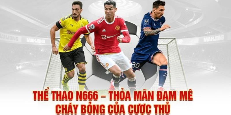 Điểm sáng tạo của sảnh thể thao N666